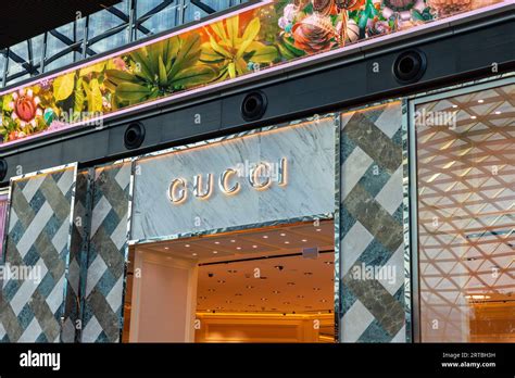 gucci doha airport|Gucci store Doha airport.